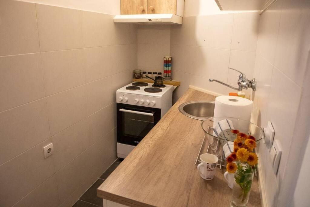 Dora Apartment Nis Exterior photo